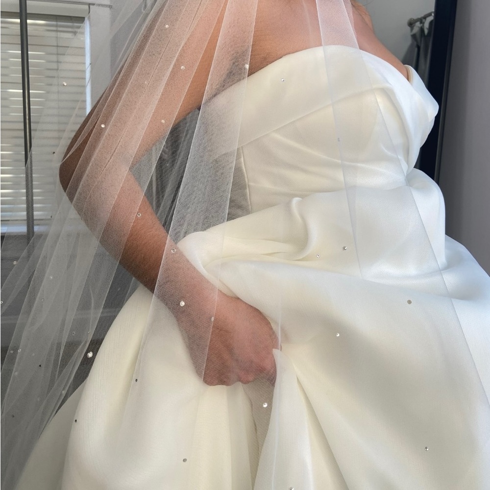 NWT Pronovias Geiranger wedding dress